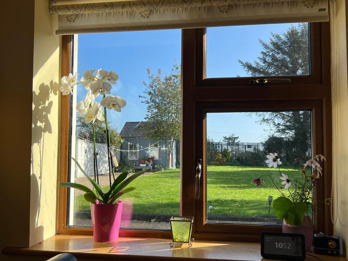 Hillview Bed & Breakfast Enniskerry Dış mekan fotoğraf