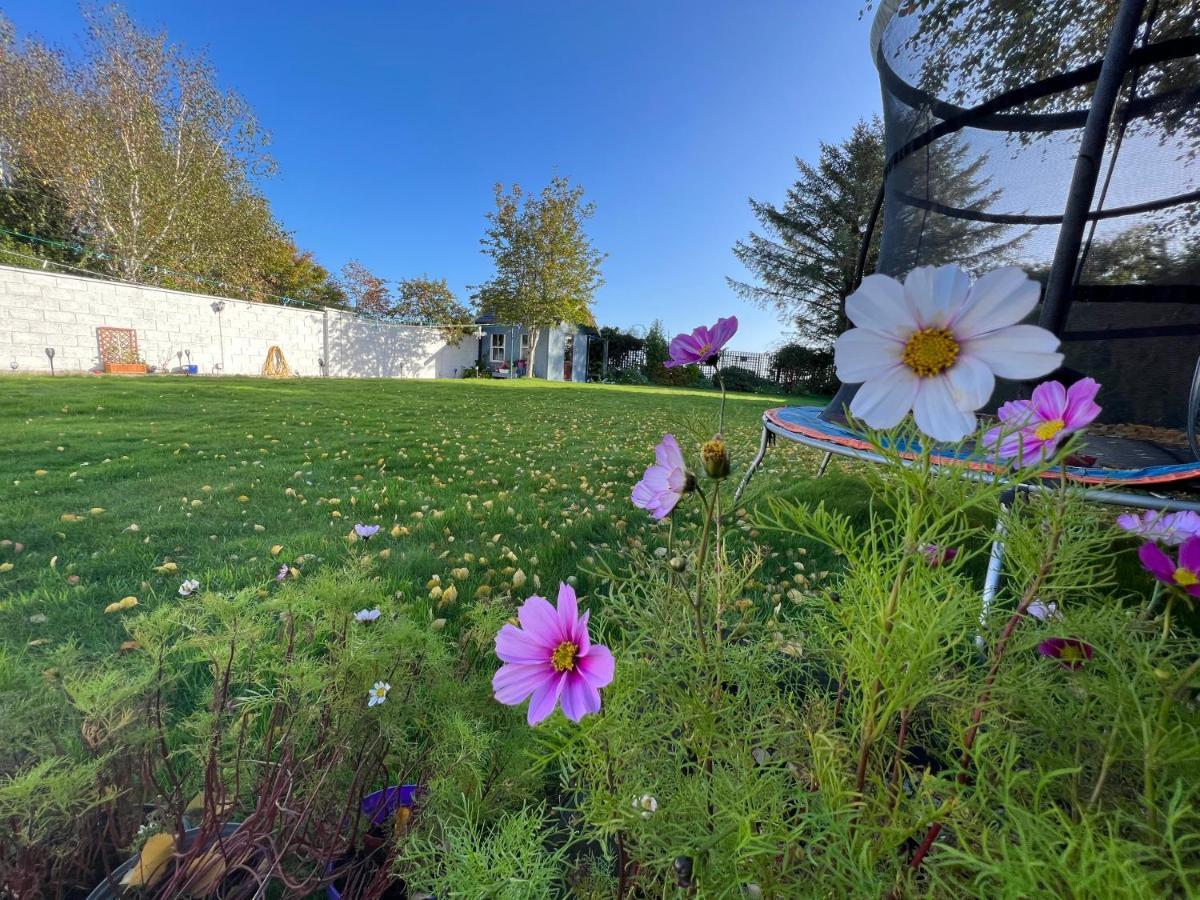Hillview Bed & Breakfast Enniskerry Dış mekan fotoğraf